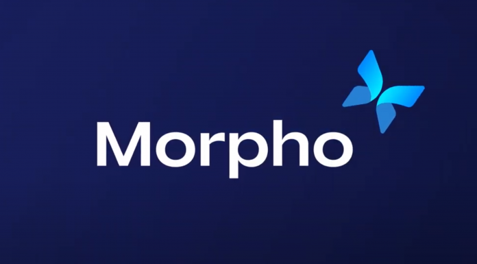 MORPHO